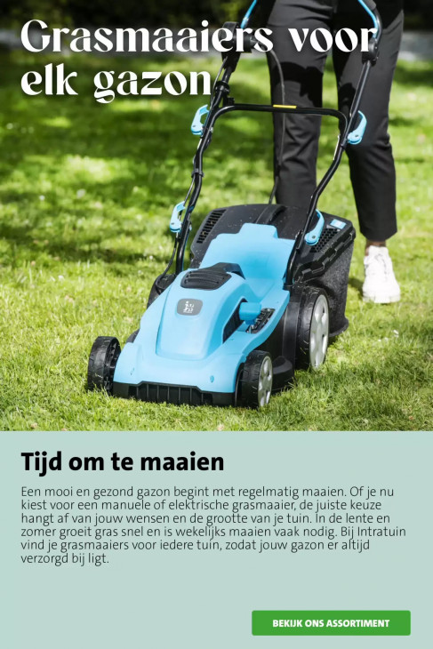 Intratuin Folder 13.07.2026