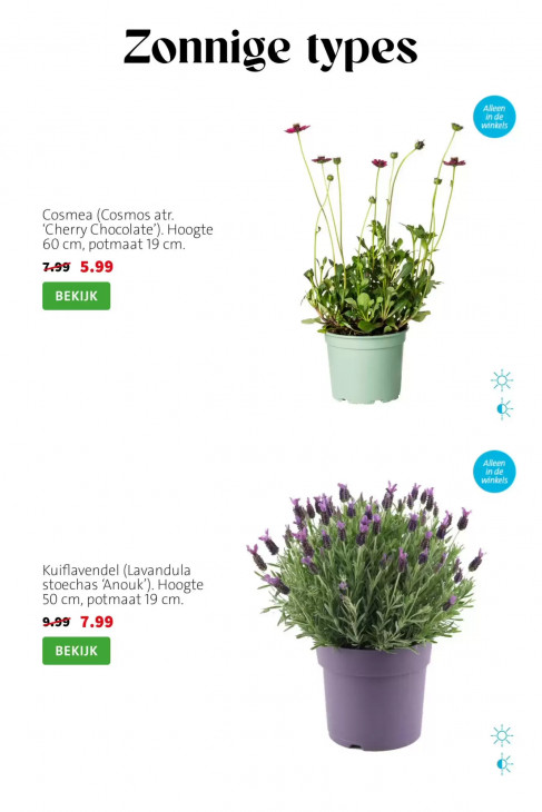 Intratuin Folder 13.07.2026