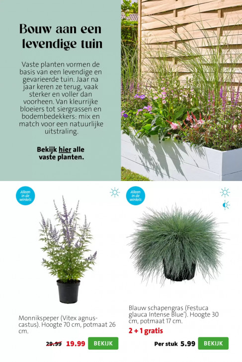 Intratuin Folder 13.07.2026