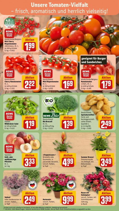 Rewe Angebote ab 13.07.26 bis 18.07.26