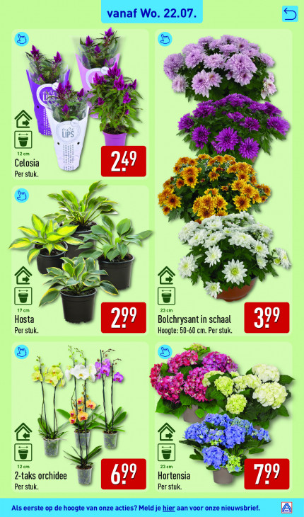Aldi Folder 20.07.2026