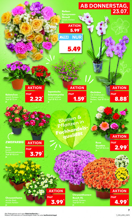 Kaufland - woche-30-ab-23-07-2026-bis-29-07-2026-seite-7-zpybr