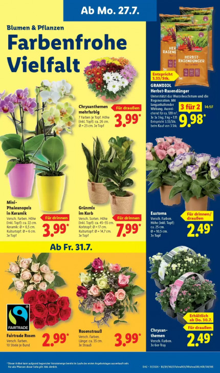 Lidl - woche-31-ab-27-07-2026-bis-01-08-2026-seite-7-dojwe