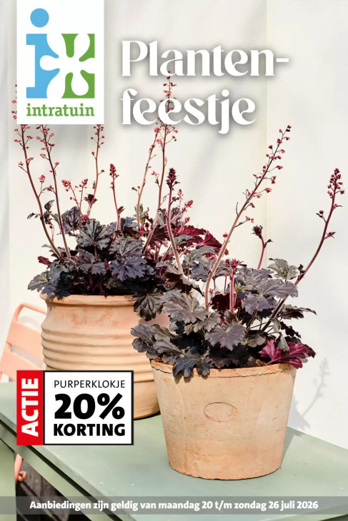 Intratuin