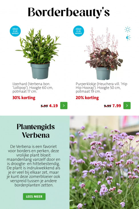 Intratuin Folder 27.07.2026