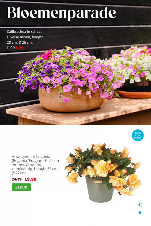 Intratuin Folder 27.07.2026