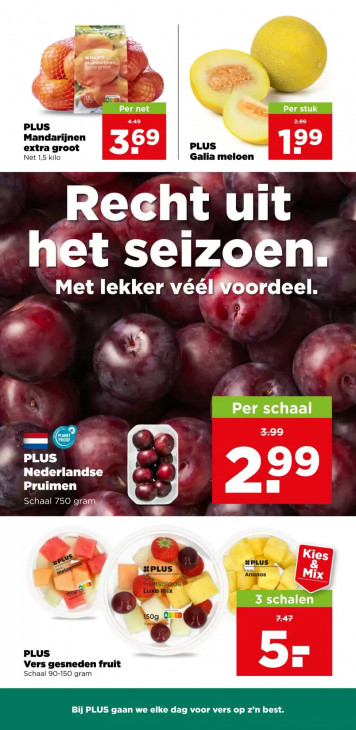 PLUS Folder 29.07.2026