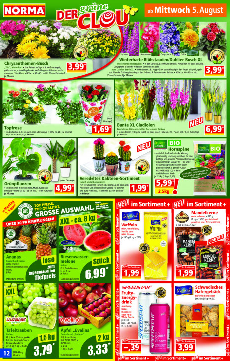 Norma - woche-32-ab-03-08-2026-bis-08-08-2026-seite-12-ywpvd