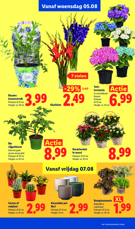 Lidl Folder 03.08.2026