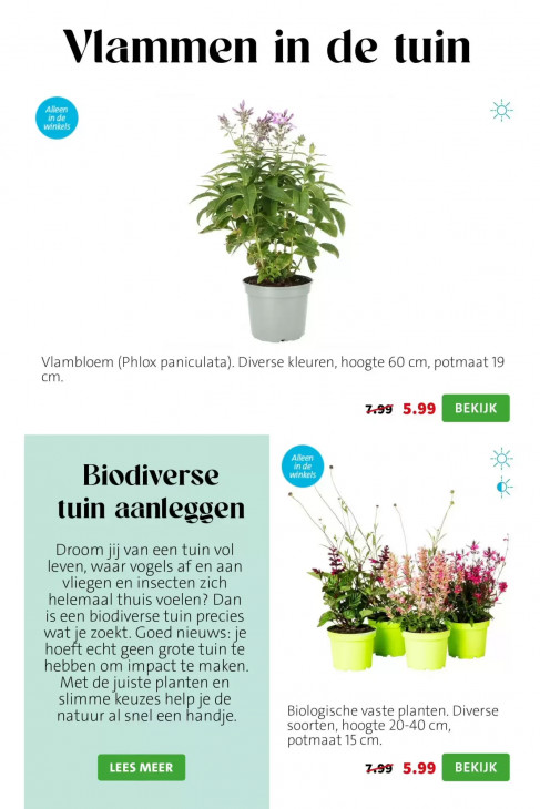 Intratuin Folder 03.08.2026