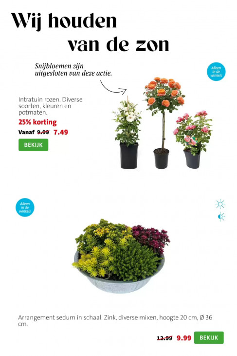 Intratuin Folder 03.08.2026