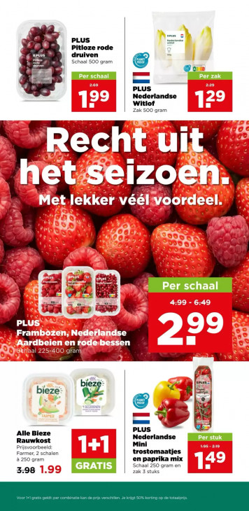PLUS Folder 12.08.2026