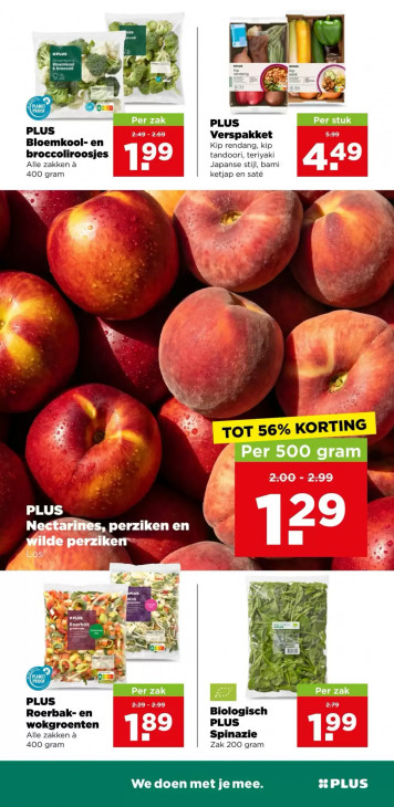 PLUS Folder 12.08.2026