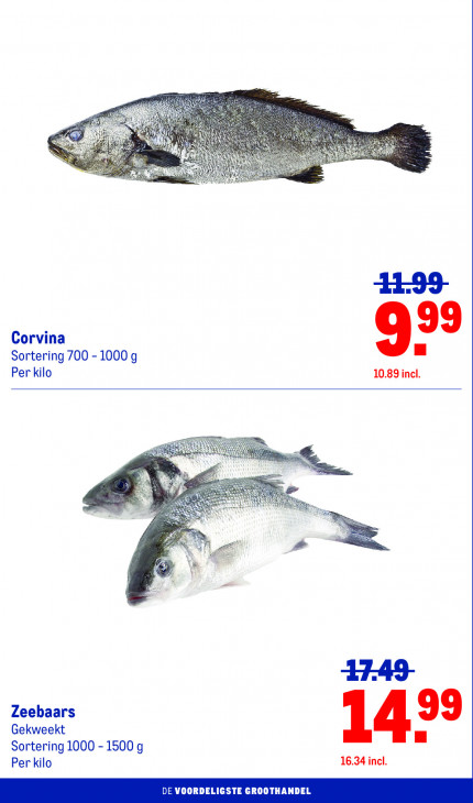 Makro Folder 12.08.2026