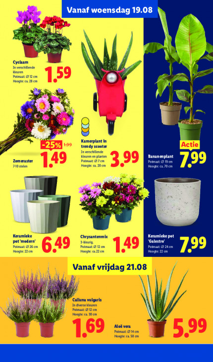 Lidl Folder 17.08.2026