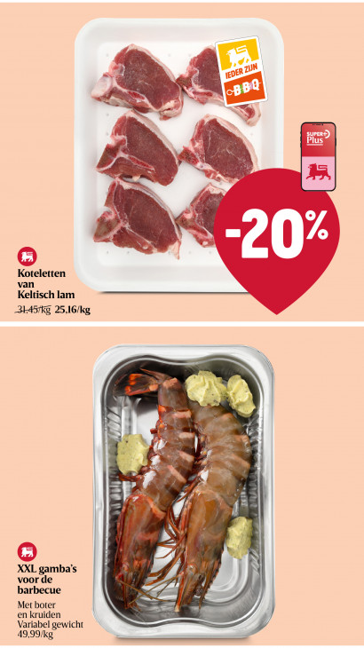 Delhaize Folder 13.08.2026