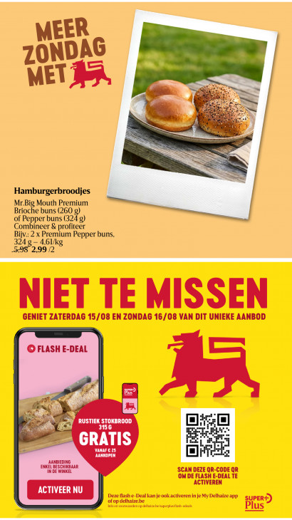 Delhaize Folder 13.08.2026