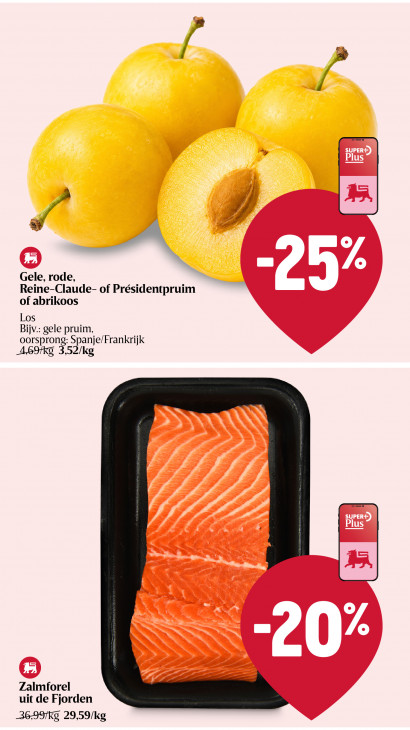 Delhaize Folder 13.08.2026