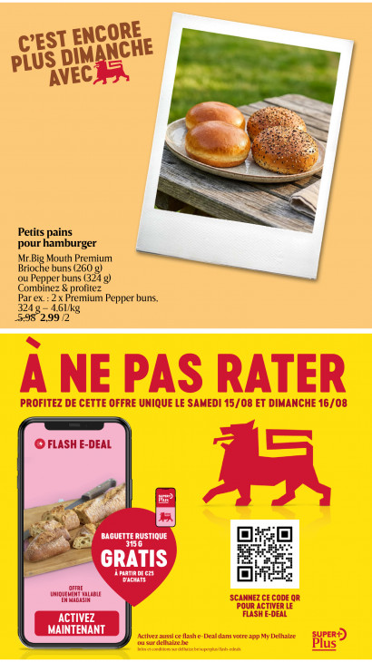 Delhaize Dépliant 13.08.2026