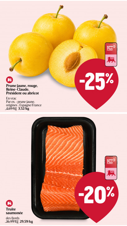 Delhaize Dépliant 13.08.2026