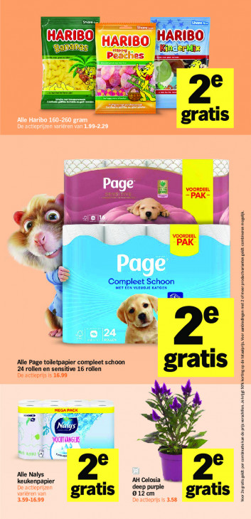 Albert Heijn Folder 17.08.2026