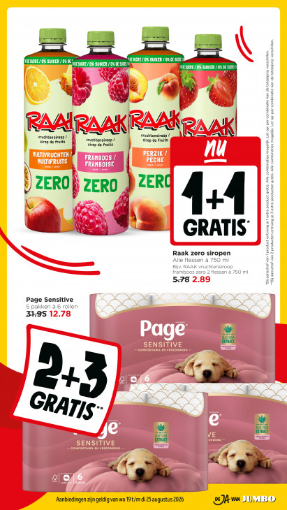 Jumbo Folder 19.08.2026