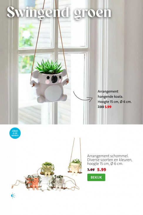 Intratuin Folder 17.08.2026