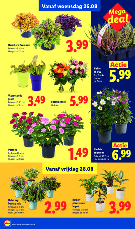 Lidl Folder 24.08.2026
