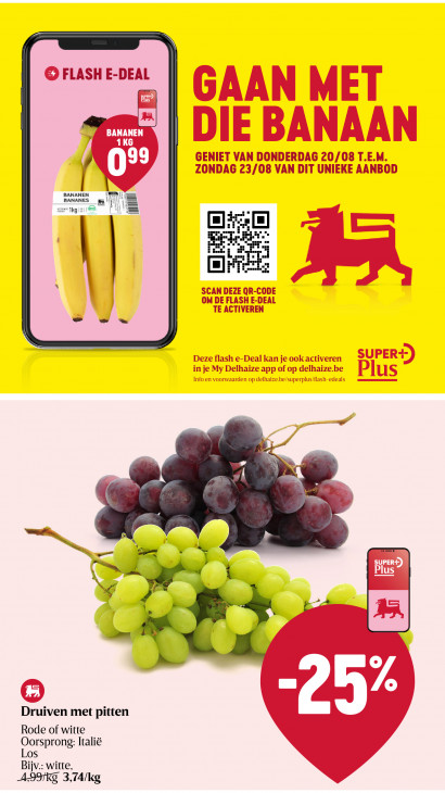 Delhaize Folder 20.08.2026
