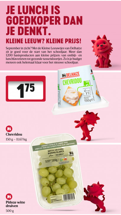 Delhaize Folder 20.08.2026