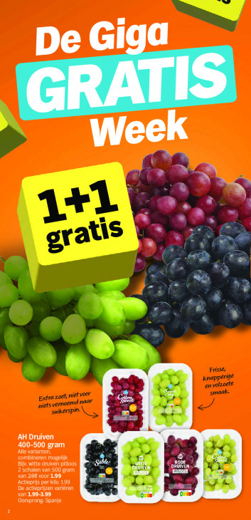 Albert Heijn Folder 24.08.2026