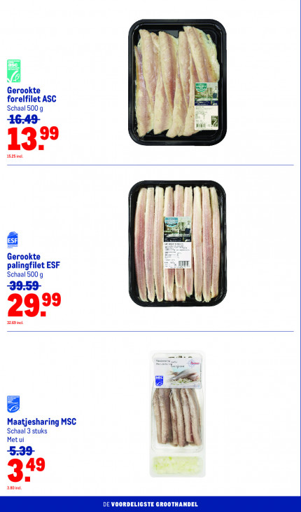 Makro Folder 26.08.2026