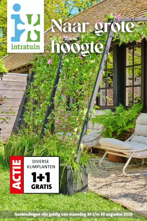 Intratuin