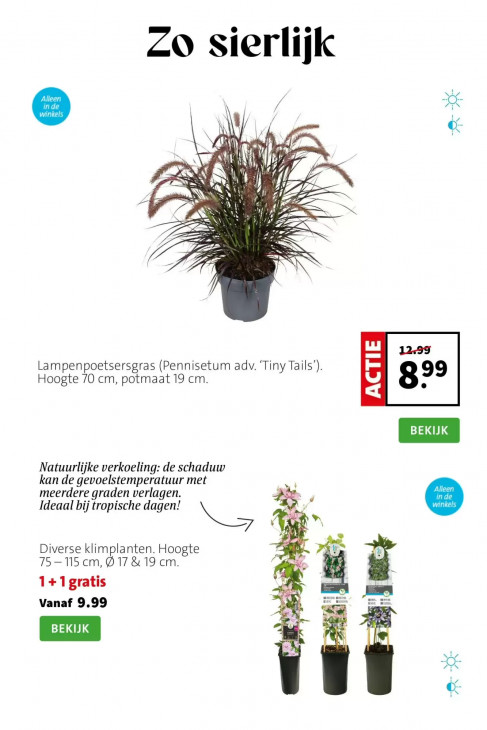 Intratuin Folder 24.08.2026