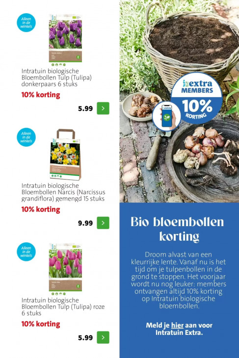 Intratuin Folder 24.08.2026