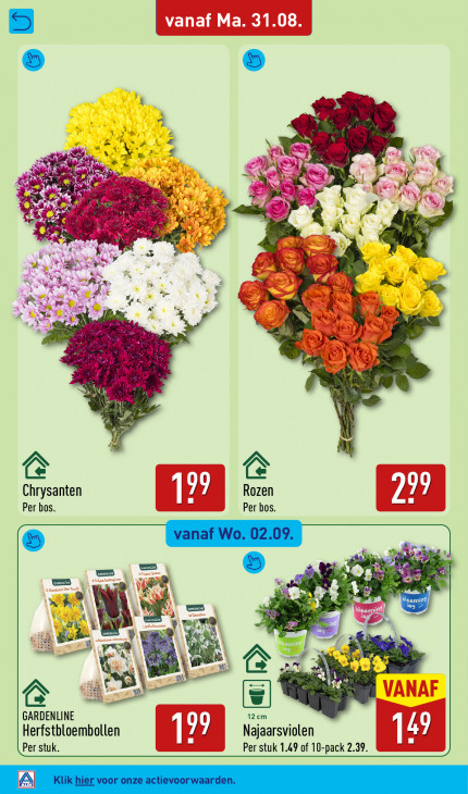 Aldi Folder 31.08.2026