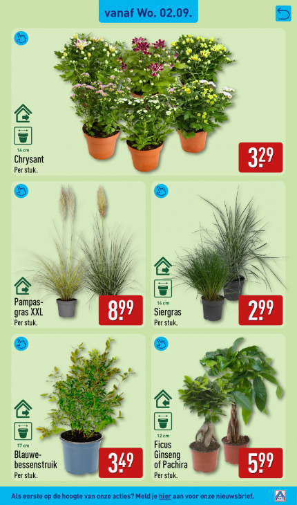 Aldi Folder 31.08.2026