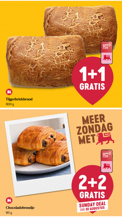 Delhaize Folder 27.08.2026