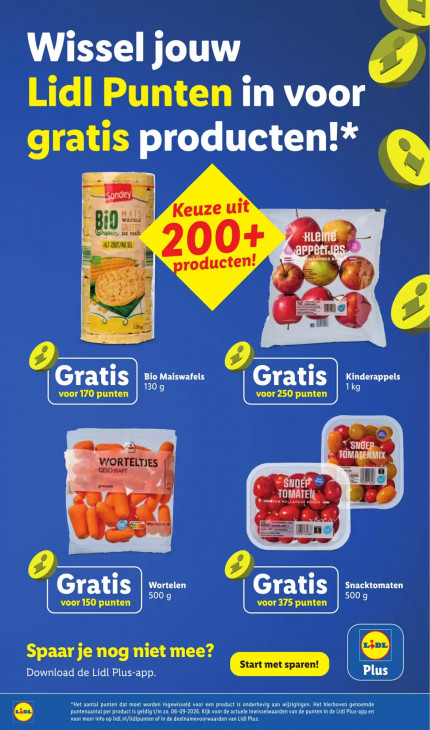 Lidl Folder 31.08.2026