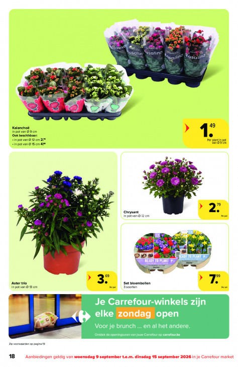 Carrefour Folder 09.09.2026