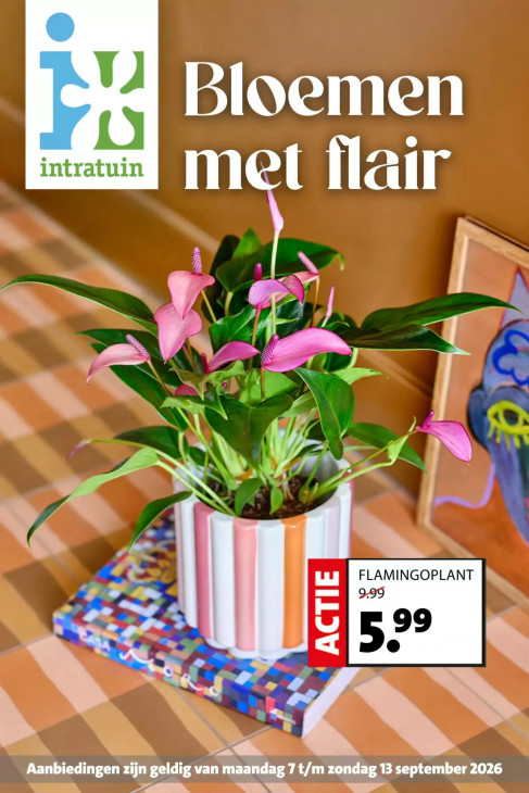 Intratuin