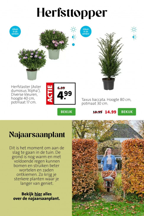 Intratuin Folder 07.09.2026