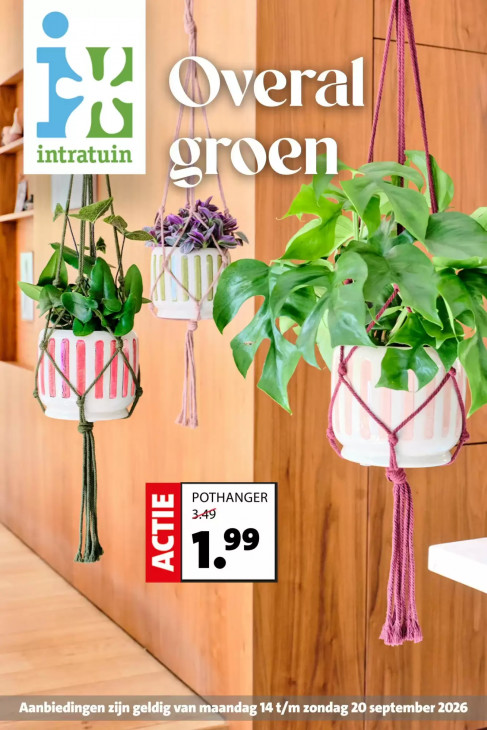 Intratuin