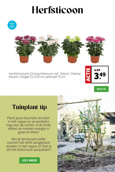 Intratuin Folder 14.09.2026