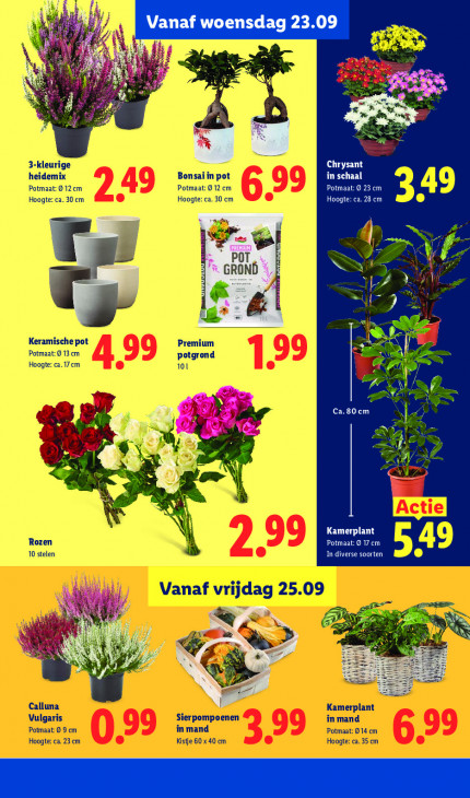 Lidl Folder 21.09.2026