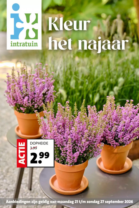 Intratuin