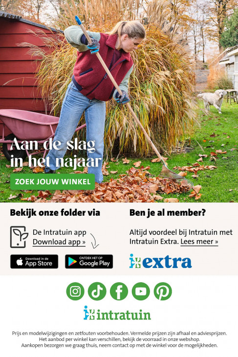 Intratuin Folder 21.09.2026