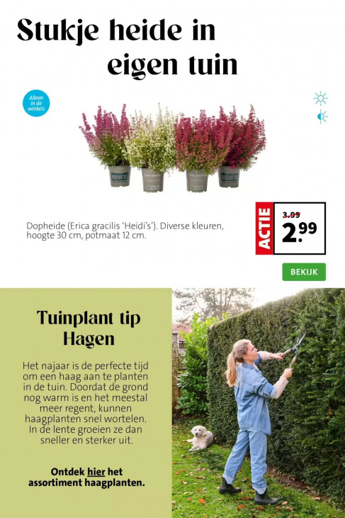 Intratuin Folder 21.09.2026