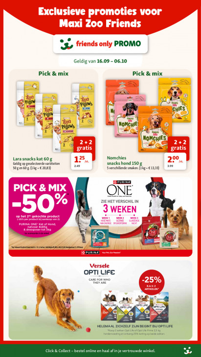Maxi Zoo Folder 16.09.2026