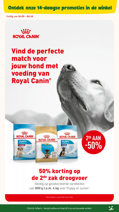 Maxi Zoo Folder 16.09.2026